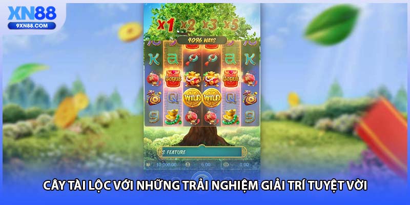 Cây tài lộc với những trải nghiệm giải trí tuyệt vời