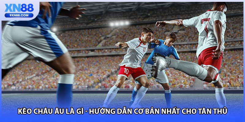 Kèo Châu Âu Là Gì - Hướng Dẫn Cơ Bản Nhất Cho Tân Thủ