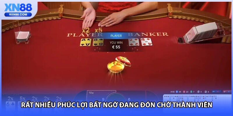 Rất nhiều phúc lợi bất ngờ đang đón chờ thành viên