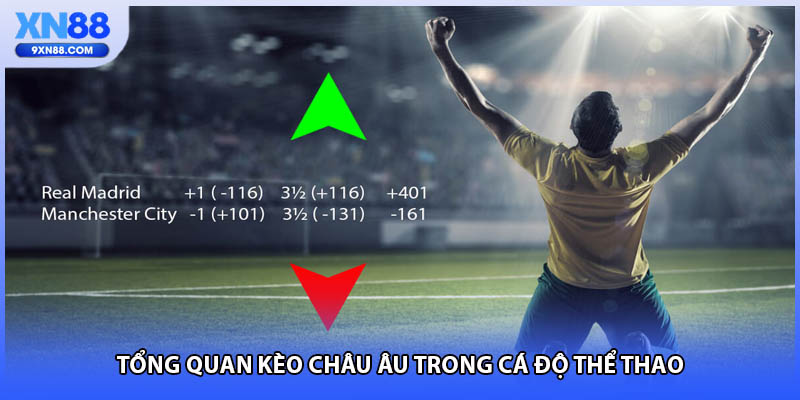 Tổng quan kèo châu âu trong cá độ thể thao